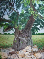 balearen: image 2 0f 4 thumb