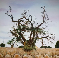 balearen: image 2 0f 4 thumb