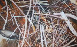 deutschland: image 1 0f 4 thumb