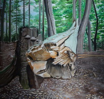 deutschland: image 1 0f 4 thumb