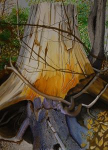 deutschland: image 1 0f 4 thumb