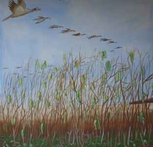 deutschland: image 1 0f 4 thumb