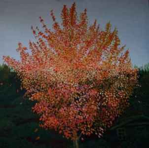 deutschland: image 1 0f 4 thumb