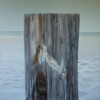 Plants: image 1 0f 4 thumb