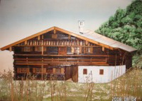 Plants: image 1 0f 4 thumb