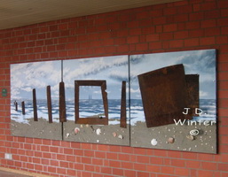 Plants: image 1 0f 4 thumb