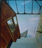 Plants: image 1 0f 4 thumb