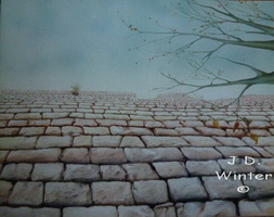 Plants: image 1 0f 4 thumb