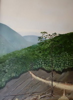 Plants: image 1 0f 4 thumb