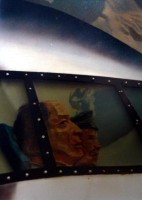 Plants: image 1 0f 4 thumb