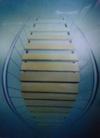 Plants: image 1 0f 4 thumb