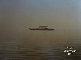 Plants: image 1 0f 4 thumb