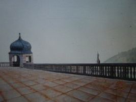 Plants: image 1 0f 4 thumb