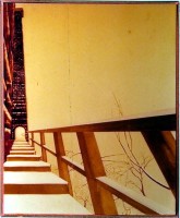 Plants: image 1 0f 4 thumb